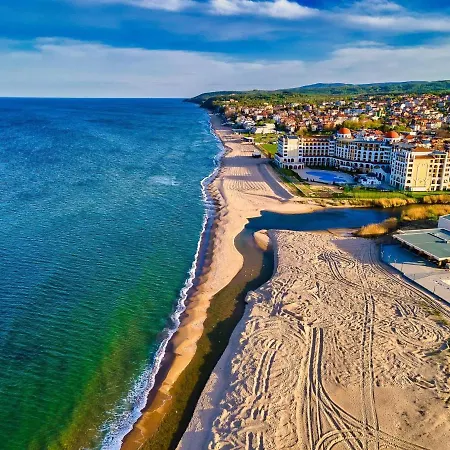 ели
